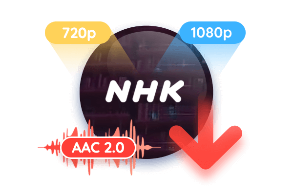 NHK video downloader