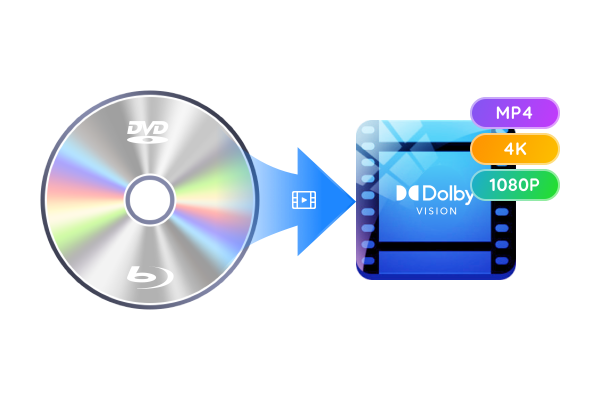 Unterstützung von Dolby Vision HDR