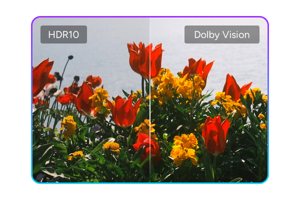 Passer de HDR10 à Dolby Vision