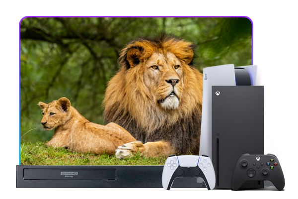與 HDR10 和 Dolby Vision 相容