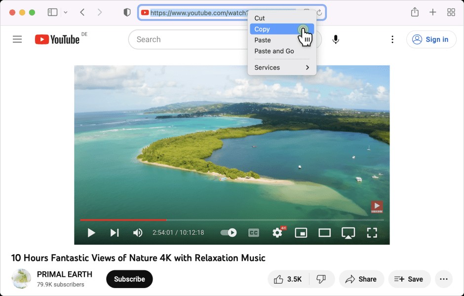 how to use 4k video downloader