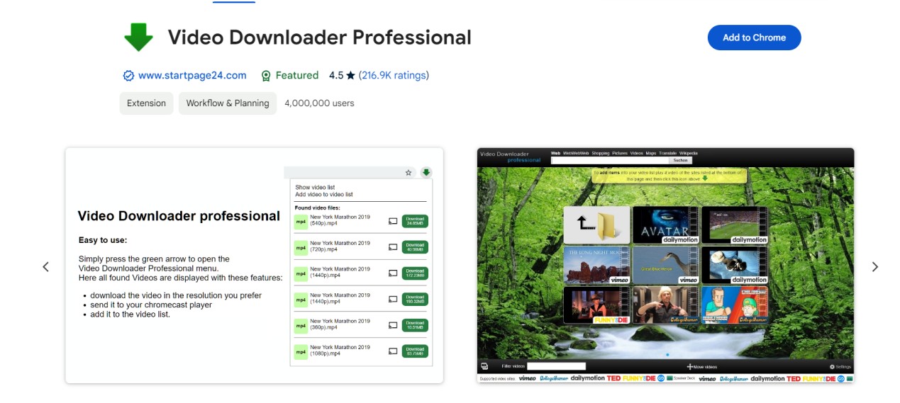 Video Downloader Professional: eine Browsererweiterung für das Download von Toggo Videos