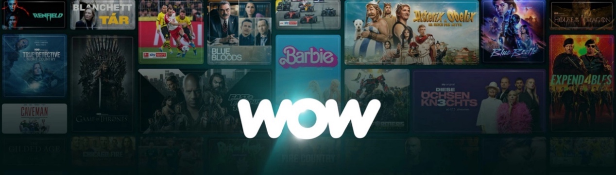 Die 3 besten WOW Downloader: So speichern Sie WOW-Videos für die Offline-Nutzung