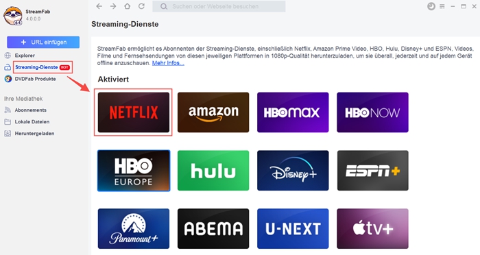 Netflix Downloader