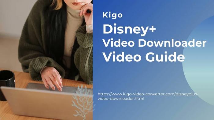 Alternatives to StreamFab Disney Plus Downloader