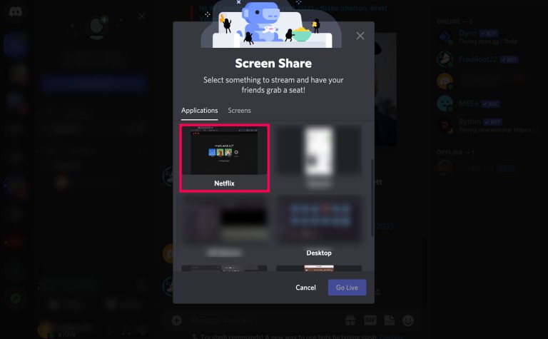 Netflix auf Discord streamen pc