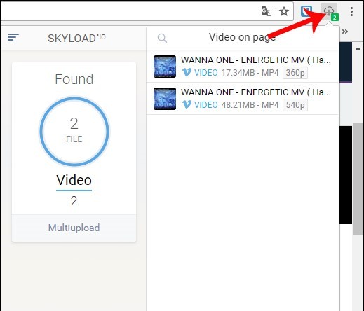 How to download the Kaltura video with Skyload