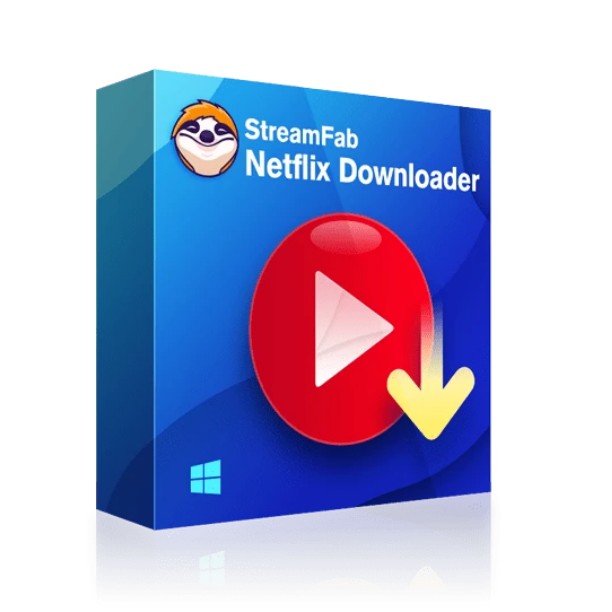 Netflix Video Downloader online