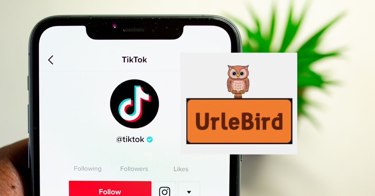 Anonymous TikTok Viewer urlebird