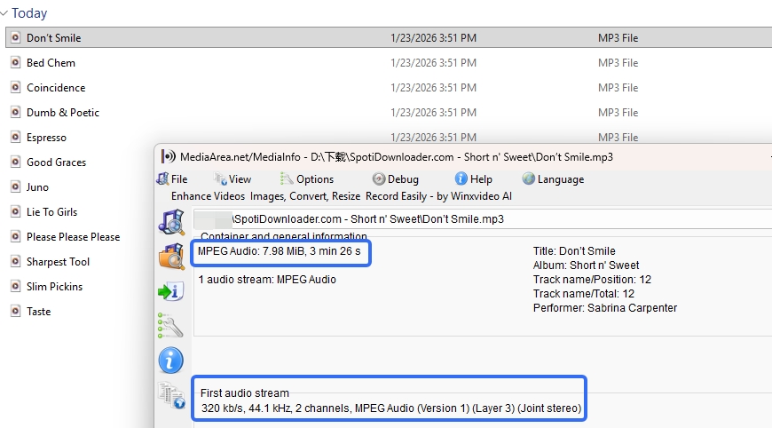 Spotifydown downloaded file analysis 