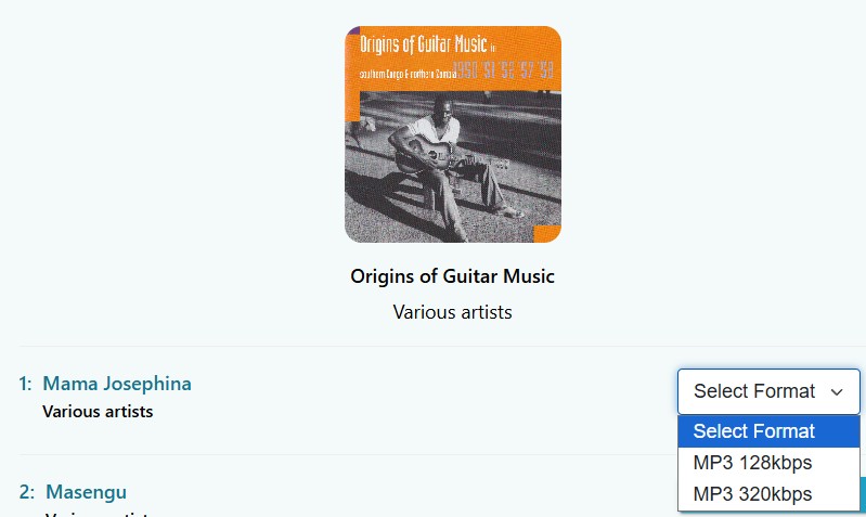 BandcampDownloader.app-selcet-format