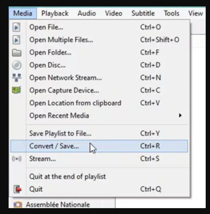 select “Convert / Save”.