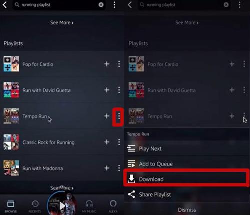 Select the “Download” sign at the upper side