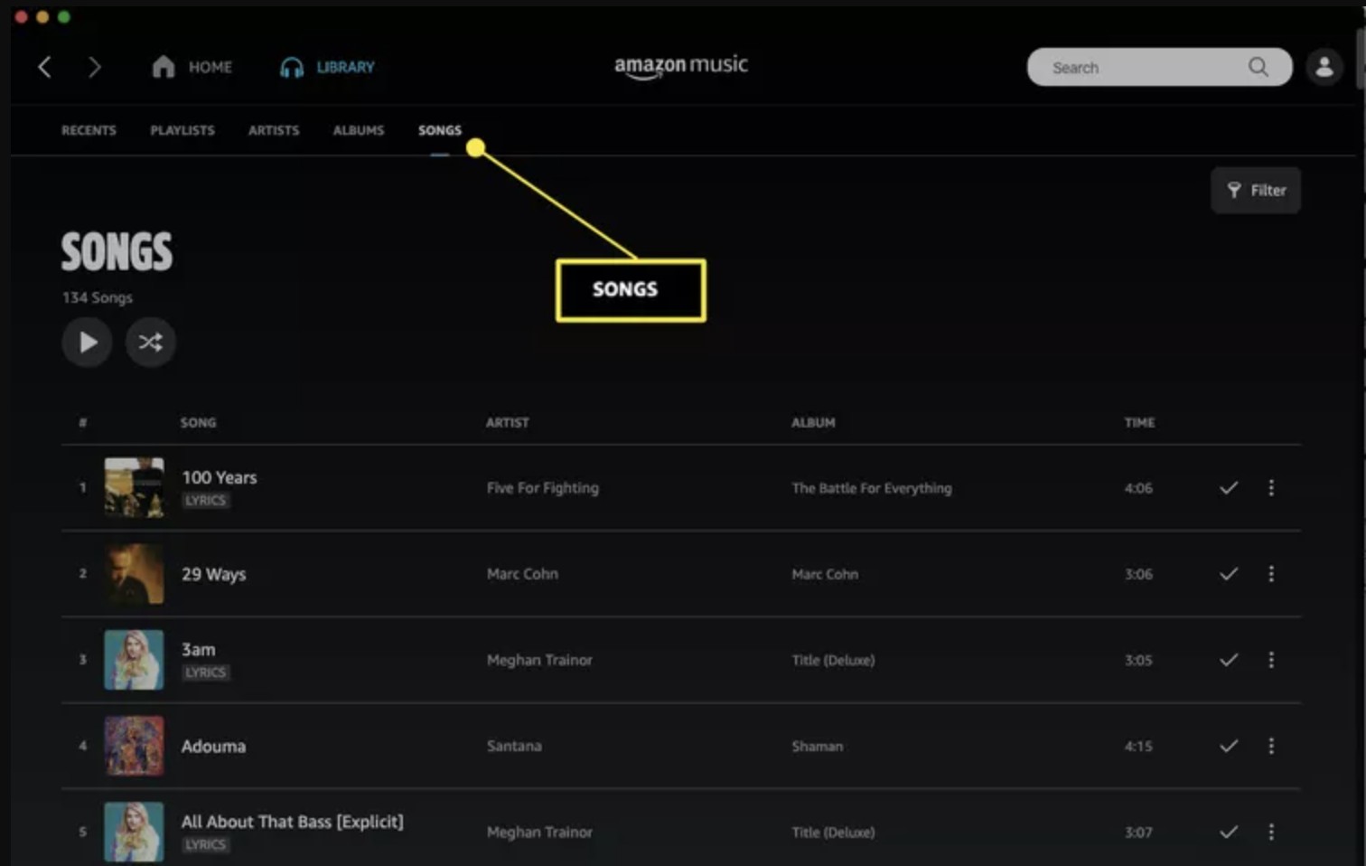select the “Songs” option