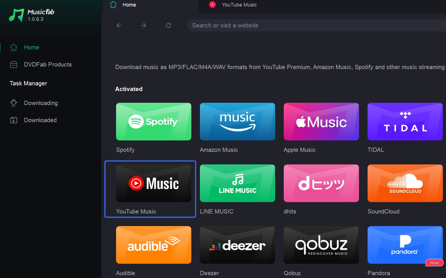 Choose YouTube Music icon MusicFab
