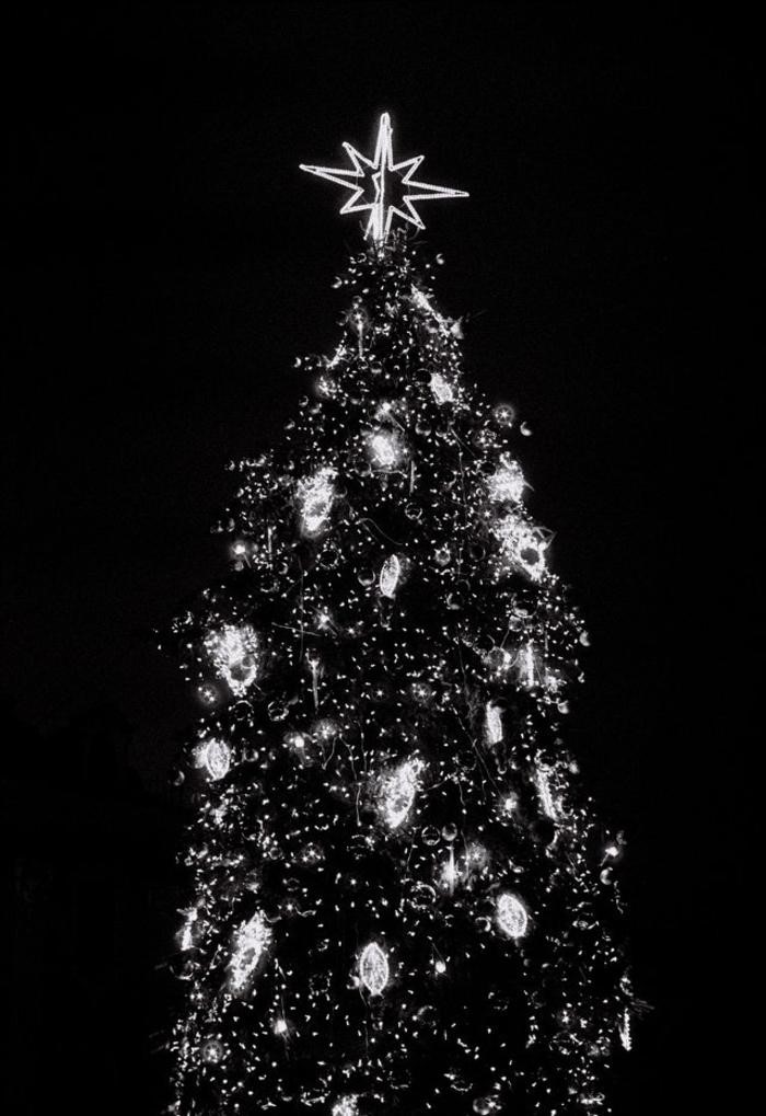 black christmas tree ideas