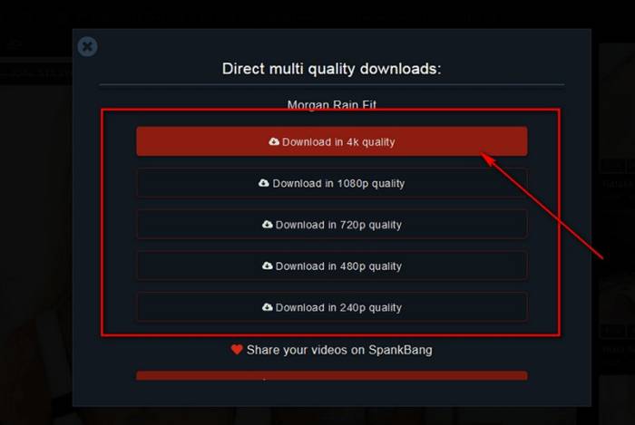 SpankBang download, SpankBang downloader, download SpankBang, SpankBang video downloader:Methode 2: Downloaden Sie SpankBang Videos direkt auf PC / Mac