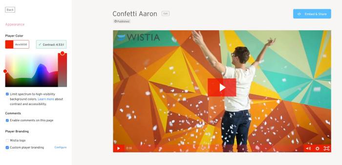 Wistia Video Download: Wie können Sie Wistia Videos downloaden?