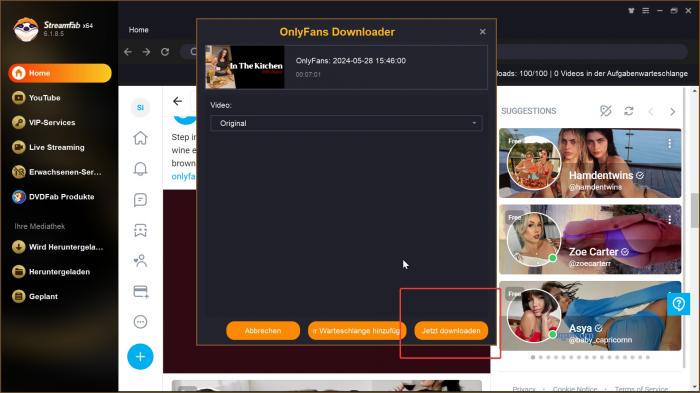 Wie lädt man Porno-Videos mit dem besten kostenlosen Porno-Video-Downloader herunter?