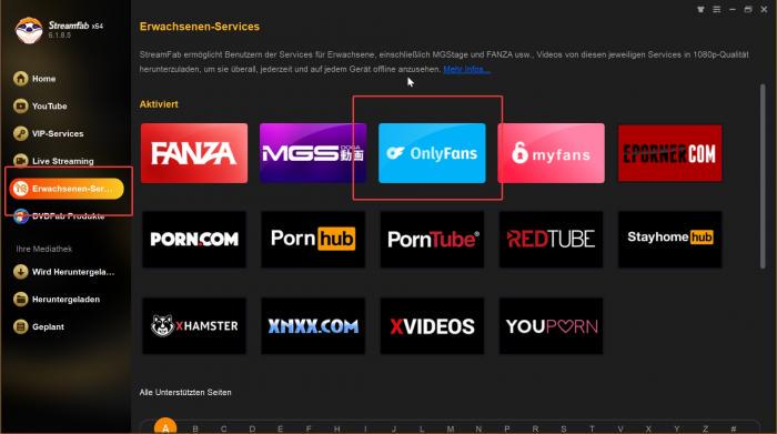 Wie lädt man Porno-Videos mit dem besten kostenlosen Porno-Video-Downloader herunter?