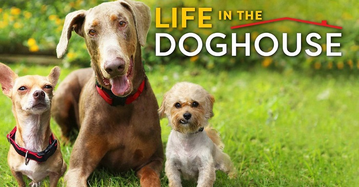 dog movies on netflix:2. Life In The Doghouse