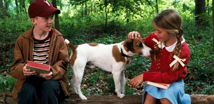 dog movies on netflix:7. My Dog Skip