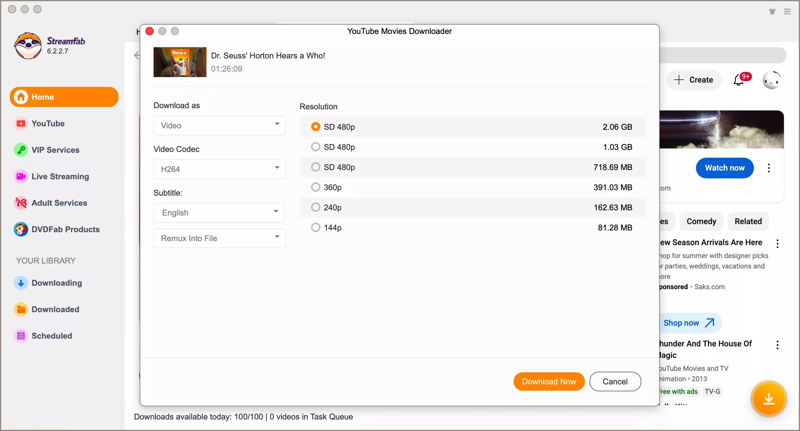 Top 8 Best Iranian Movies on YouTube 2025: step 3 of streamfab YouTube movies downloader