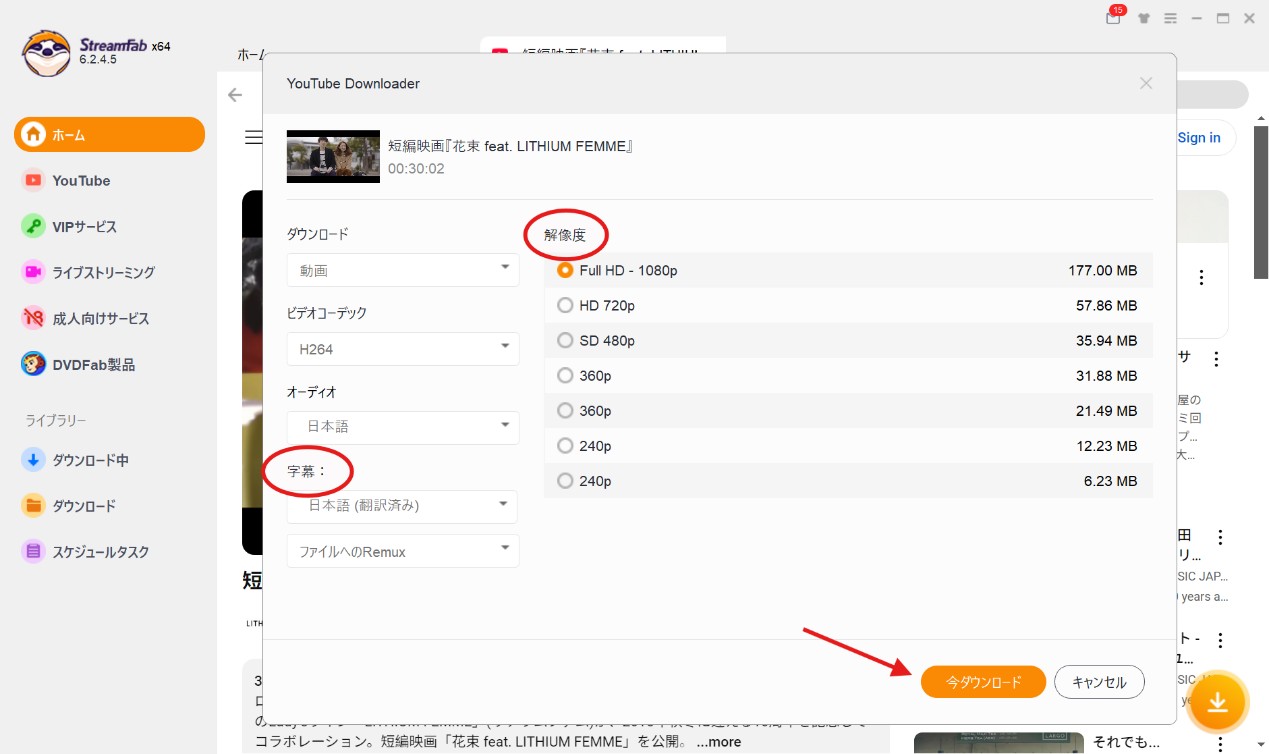 StreamFabの使い方