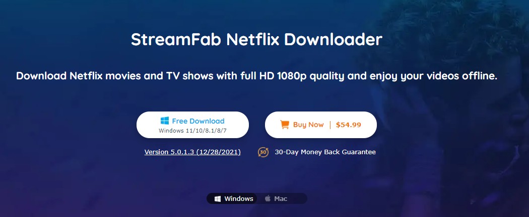 Netflix DVD:Alternative For Downloading DVD Netflix