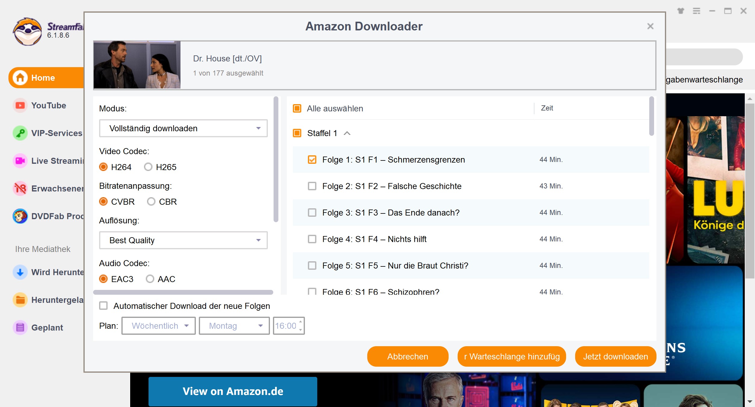 Flexible Lösung: Alternative zu Pazu Video Downloader wählen