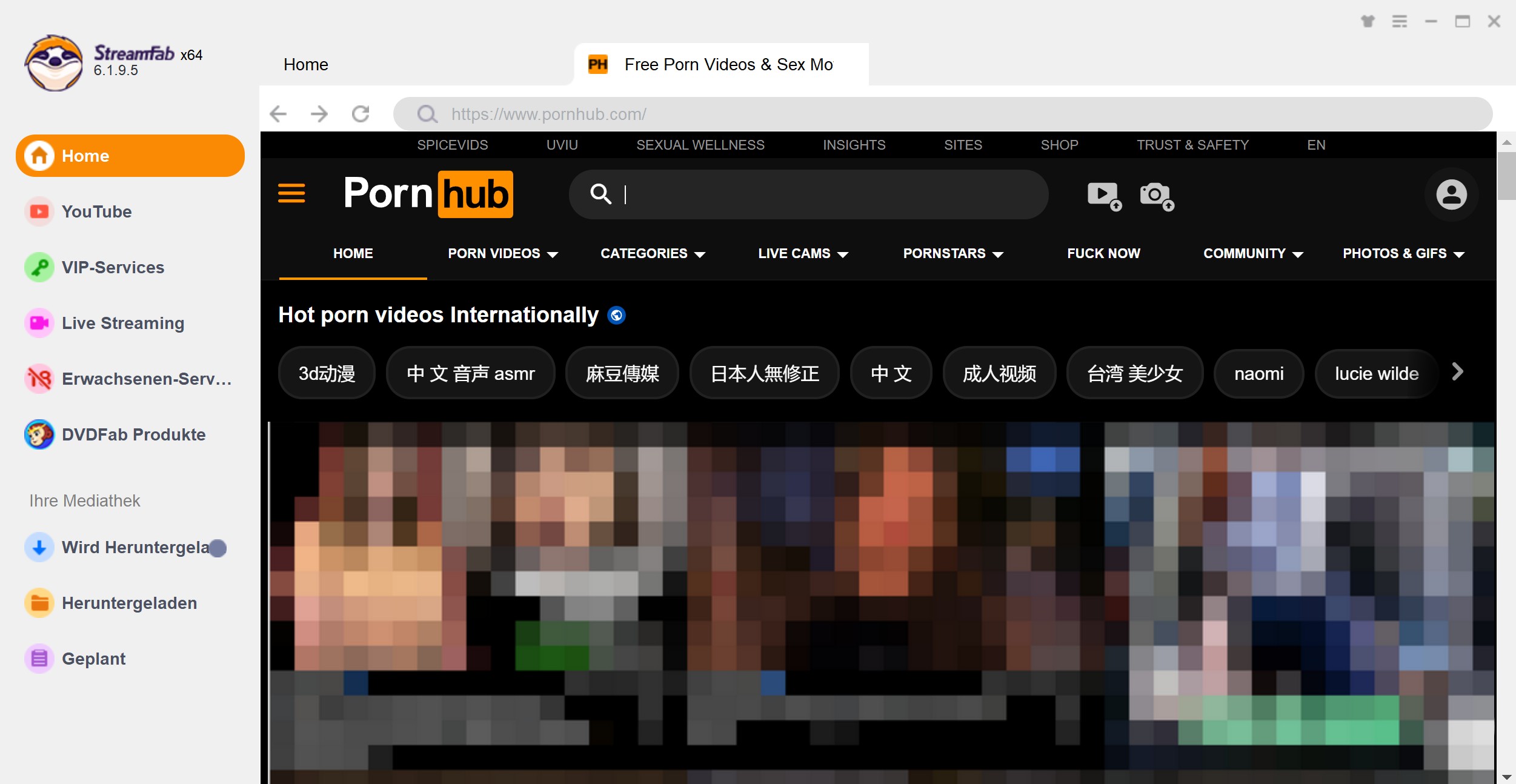Wie kann man Pornhub 4K Videos herunterladen?